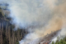 Blitz löste Waldbrand aus, wieder halfen Bauern mit Güllefässern