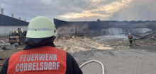 Sachsen-Anhalt: 20.000 Schweine sterben bei Großbrand in Schweinestall