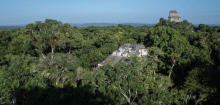 Maya-Stätte in Guatemala: Archäologen entschlüsseln Namen eines Astronoms und Mathematikers