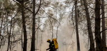 Waldbrände in Spanien, Frankreich, Deutschland: Diese Feuersaison ist noch lange nicht vorbei