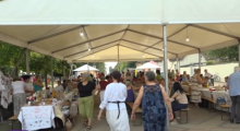 GASTRONOMSKI SPEKTAKL 25. JULA U PEĆINCIMA: 