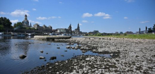 Elbe: Güterschiffe stehen wegen Niedrigwasser wohl bis September still