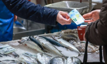 Širi se panika, raste zabrinutost: Ukida li zbilja Europa gotovinu?