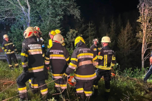 In Kärnten: Zwei Verletzte nach wirkungsloser Vollbremsung