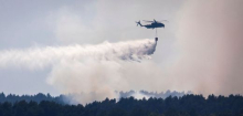 Waldbrand im Müritz-Nationalpark: Experte kritisiert fachliche und operative Lücken
