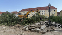 Karlovac: Bageri srušili lipe, Grad tvrdi da će presaditi jedno stablo, privedene aktivistice