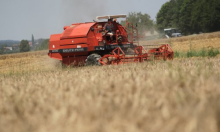 Podravka Agri završila žetvu ječma s rekordnim prinosima