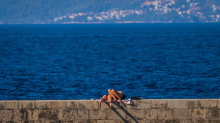 INSPEKCIJA Zbog fekalija u moru ne preporučuje se kupati na ovoj plaži u Dalmaciji