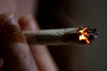 Cannabis in Trafiken: Der legale „Rausch“ ist ein Ladenhüter