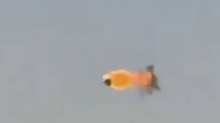 VIDEO Iran izveo masivan napad na Amerikance u Iraku