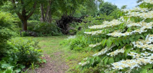 Garten-Tipps: »Ich würde bei einer Neuplanung nicht gleich alles mit Rollrasen auslegen«