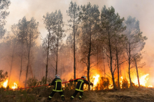 Požar v bližini Bordeauxa stabiliziran. Sezona gozdnih požarov bi lahko trajala do novembra.