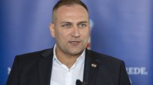 Vlajčić: 'Divlje svinje ne poznaju granice, virus je u okruženju...'