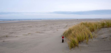 Norderney: Bauarbeiter entdecken historisches Schiffswrack am Strand