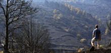 Rückversicherungskonzern Munich Re warnt vor höheren Schäden aus Waldbränden