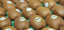 Bio-Lebensmittel: Nachfrage wächst trotz hoher Preise im zweiten Quartal