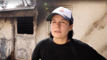 Požari popuštaju u Grčkoj, ljudi se vratili u zgarišta: 'Naša duša gori, ovdje smo proveli život...'