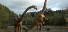 Dinosaurier: Darum gab es keine sehr kleinen Arten - Studie über Urzeittiere