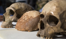 Neandertalci nisu bili jedini: U DNK-u modernih ljudi pronađeni tragovi dvaju nepoznatih predaka