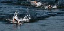 Schwimm-EM in Paris: Florian Wellbrock gewinnt mit Mixed-Staffel Gold