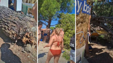 VIDEO DRAMA NA PLAŽI Bor se srušio na kupače u Crikvenici