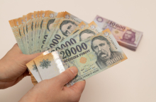 Pad proizvodnje u nuklearki ugrožava nacionalnu valutu
