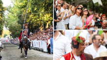 200 fotki 311. Sinjske alke