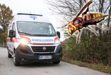Slobodan iz Valjeva bio 3 dana u komi zbog uboda stršljena: 