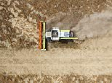 Banks roll out emergency loans for farmers as severe drought threatens to savage crop yields