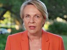 PETER VAN ONSELEN: Albanese's most senior female ministers are humiliating themselves to defend his melons joke... as he resembles the oily bloke at the end of the bar
