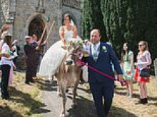 Mooving ceremony! Farmer bride turns up to church wedding on her favourite cow White Chocolate Button