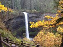 Tourist, 20, dies after plunging 177 feet from waterfall while trying to take a photo