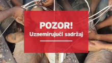 VIDEO Golim rukama ispod tone ruševina izvukli bebu i čovjeka u Kolumbiji: Počela je plakati...