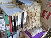 Finally an acceptable excuse to work from home! Wildlife warden is forced out of her office when thousands of WASPS move in and build giant nest