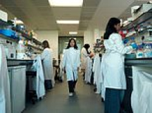 University of Warwick