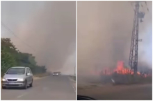 BUKTE POŽARI U SREMU: Vatra guta hektare kod Kupinova, sve raspoložive vatrogasne snage na terenu (VIDEO)