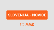 Papež bo oktobra na pobudo ČZS na osebni avdienci sprejel čebelarje