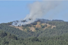 Razbuktao se novi požar u Srbiji! Gust dim vidi se kilometrima, vatra se rasplamsala nadomak kuća i preti da proguta stotine hektara šume (VIDEO)