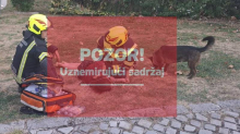 Vatrogasci u Zagrebu spasili ženu i psa: 'Bila je bez svijesti'