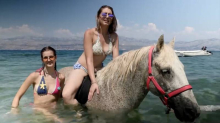 VIDEO Osvježenje na Braču kakvo još niste vidjeli: Turisti dolaze jahati konje usred mora!