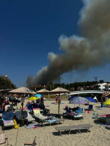 Ko ima pravo na povraćaj novca zbog požara na letovanju? Seničić razrešava sve nedoumice: Detaljna uputstva za turiste