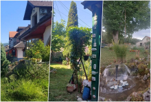 OVO SU NAJLEPŠA UŽIČKA DVORIŠTA! Nagrade odnele Vesna, Ivana i Milina (FOTO)