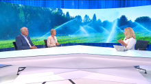 Marina Pintar: Lahko bi namakali vse, tudi travinje. Zatika se pri organizaciji kmetov.