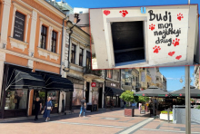 ALARM U NIŠU ZBOG ČOPORA PASA! Gradski većnik za Kurir televiziju otkrio šta se dešava na obodima grada: 