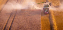 Dürre: Bauern melden große Einbrüche bei der Ernte