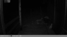 TURISTIMA NESTAJU PAPUČE I PATIKE, A KAMERA OTKRILA LOPOVA: Evo ko hara Zaovinama (FOTO/VIDEO) 