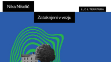 Nika Nikolič: Zataknjeni v vezju