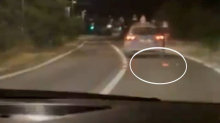 Iz policijskog auta na Ugljanu bacili zapaljeni opušak na cestu