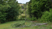 Rušio stablo u Međimurju pa ostavio 1200 kuća bez struje