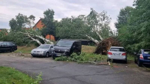 Tornado poharao Njemačku. Drvo palo na ženu, preminula je